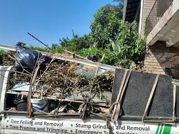 Best Attic Cleanout  in Pickens, MS