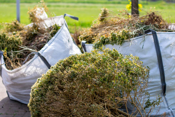 Best Shed Removal  in Pickens, MS